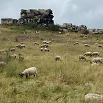 Harzhotel Warnstedter Krug