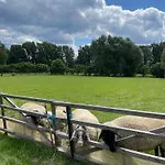 Otel Harzhotel Warnstedter Krug 3*