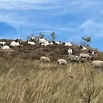 Harzhotel Warnstedter Krug Thale