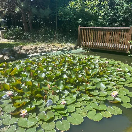 Harzhotel Warnstedter Krug Otel