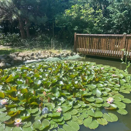 Harzhotel Warnstedter Krug Otel 3*