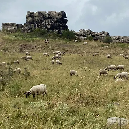 Harzhotel Warnstedter Krug