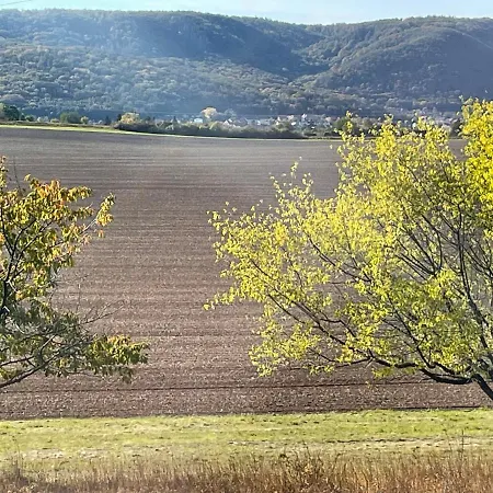 Harzhotel Warnstedter Krug Otel 3*