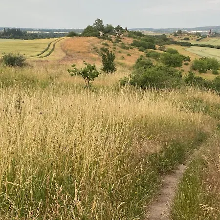 Harzhotel Warnstedter Krug 3*