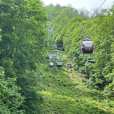 Harzhotel Warnstedter Krug ホテル