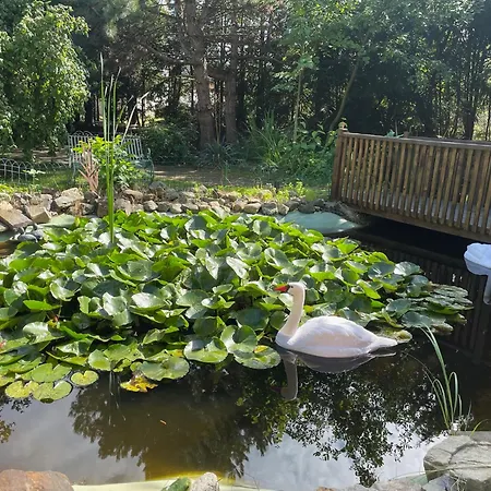 Harzhotel Warnstedter Krug Otel 3*