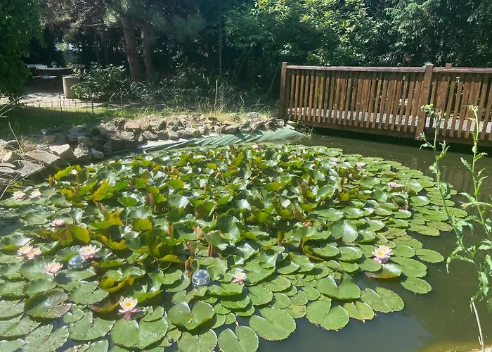 Harzhotel Warnstedter Krug Ξενοδοχείο