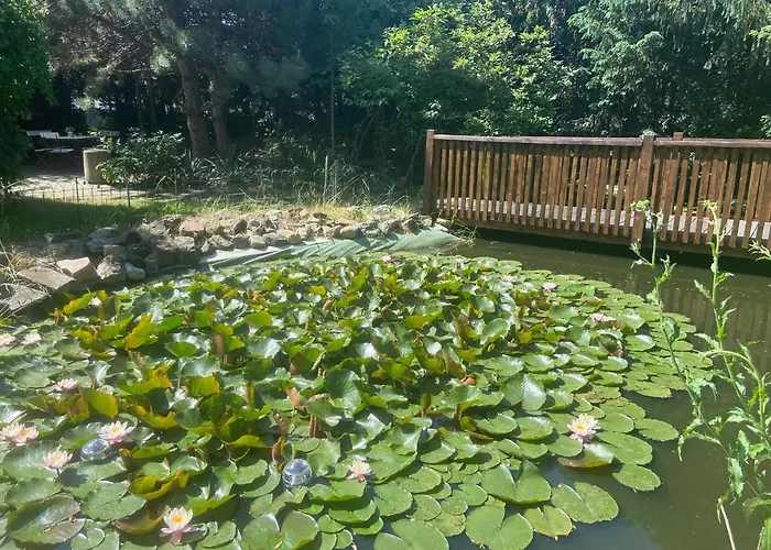 Harzhotel Warnstedter Krug Отель 3*