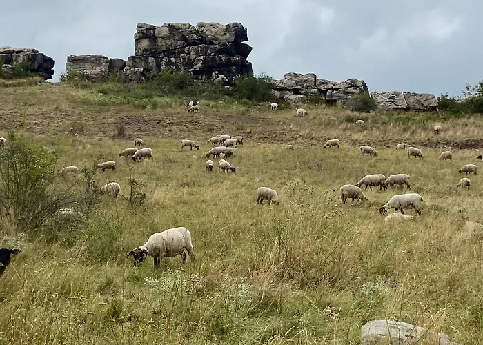 Harzhotel Warnstedter Krug