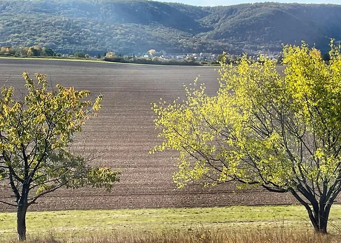 Harzhotel Warnstedter Krug Ξενοδοχείο 3*