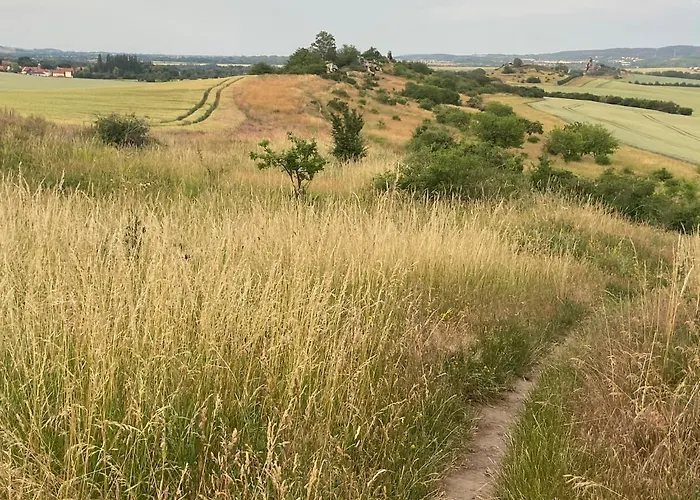 Harzhotel Warnstedter Krug 3*