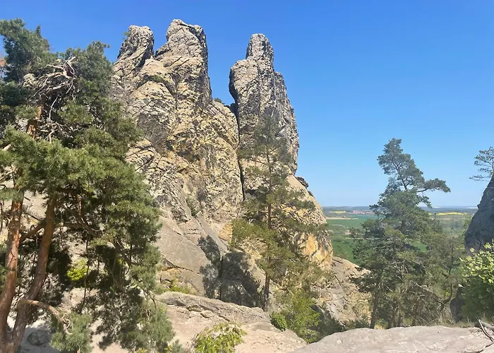 Отель Harzhotel Warnstedter Krug