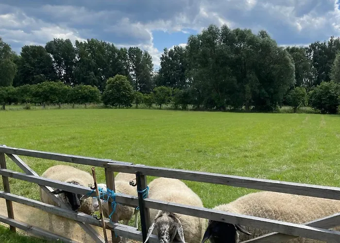 Ξενοδοχείο Harzhotel Warnstedter Krug 3*