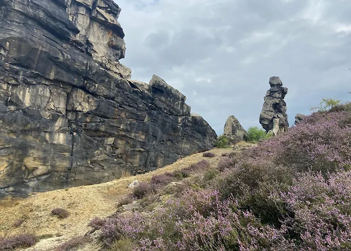 Harzhotel Warnstedter Krug Ξενοδοχείο Thale