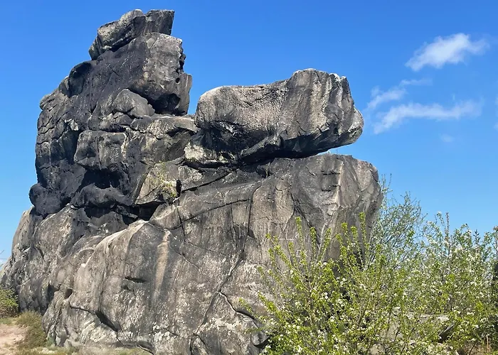 酒店 Harzhotel Warnstedter Krug 3*