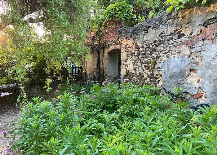 Отель Harzhotel Warnstedter Krug