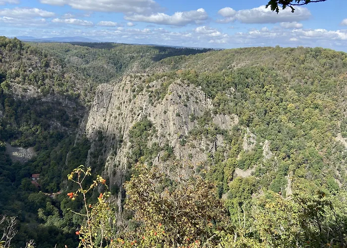 Harzhotel Warnstedter Krug Тале