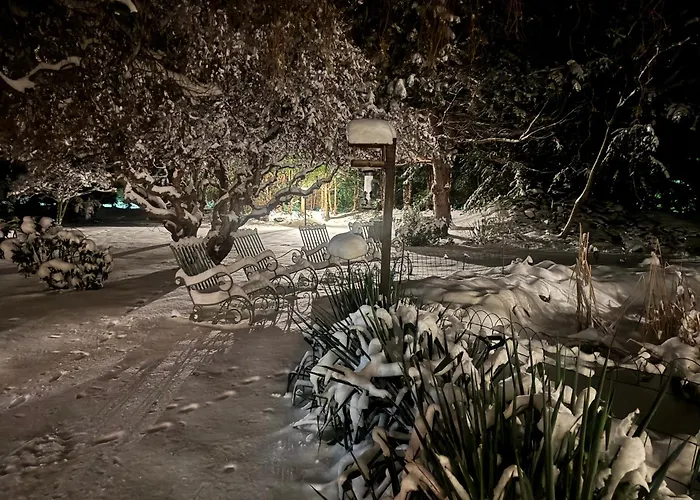 Ξενοδοχείο Harzhotel Warnstedter Krug 3*